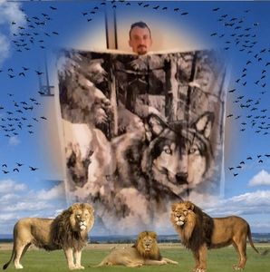 Meet your Posher, Royce